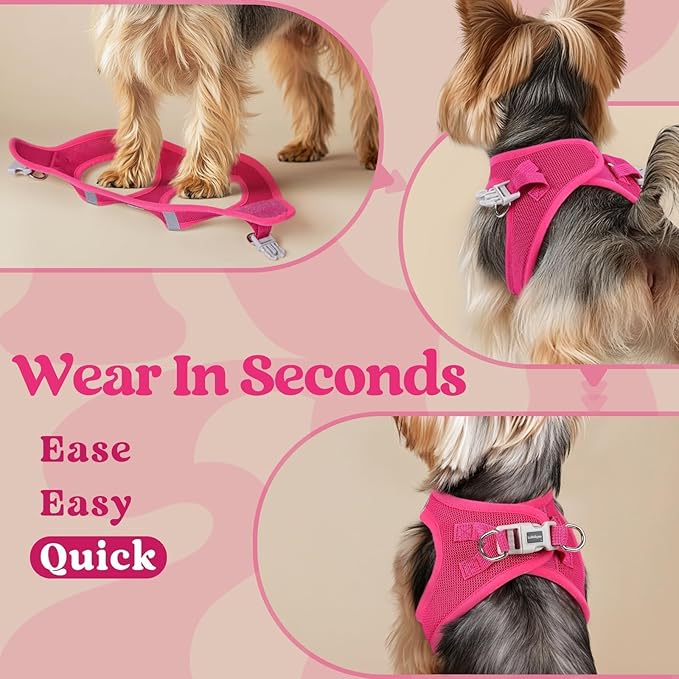 rabbitgoo Small Dog Harness, Step-in Soft Mesh Puppy Vest with Safety Buckle, Breathable Reflective Pet Harness for Small Sized Dogs, Rose Red M
