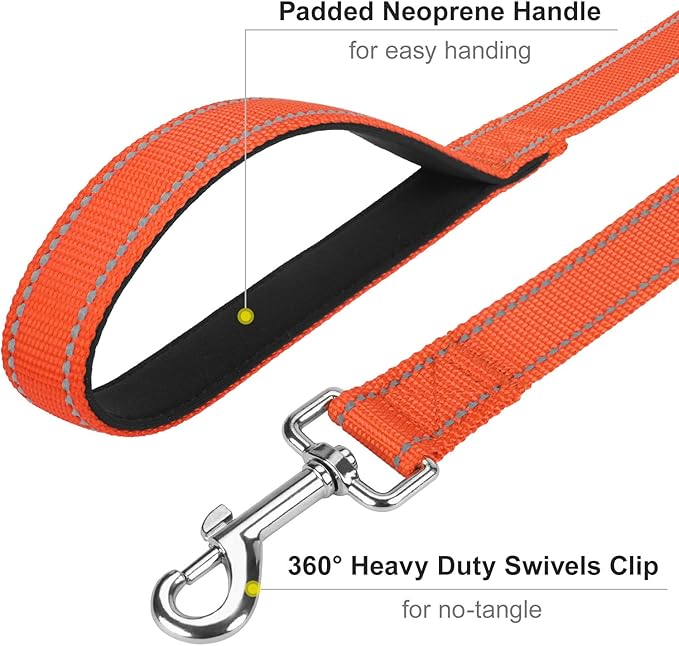 Erbine 6FT Reflective Nylon Dog Leash with Soft Padded Handle for Walking, Running and Training, Supports Small Medium and Large Dogs (Orange, 3/4Inch Wide)
