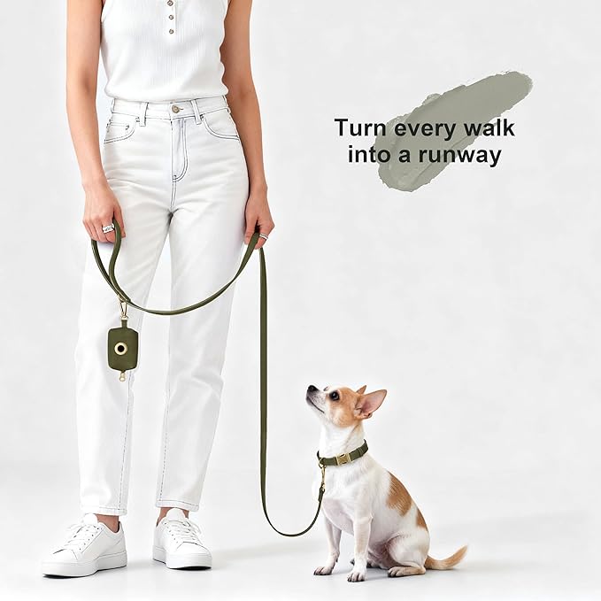 Didog Soft PU Leather Dog Collar, Stylish Quick Released Dog Collars for Small Dogs, Easy Clean Adjustable Pet Collar for Daily Walking, Dark Green, S Fit 10-16" Neck