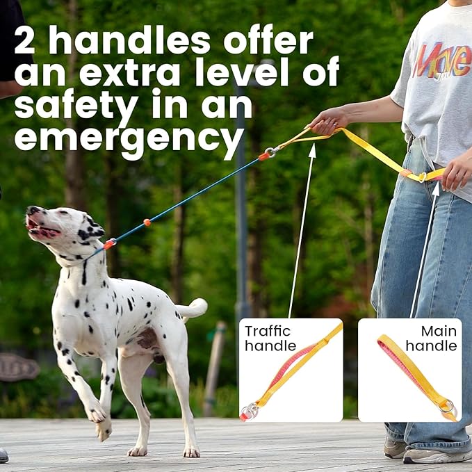 Slip Lead Dog Leash with Double Handles | Reflective Dog Training Lead with 360° Swivel Anti-Tangle | Heavy-Duty Leash and Collar for Large Medium and Small Dogs No-Pull Walking (Green, 5.5FT)