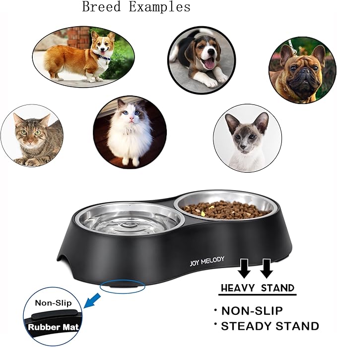 Joy Melody Non Slip Food and Water Bowl Set with Stand for Cat, Samll Dog, Rabbit, Stainless Steel Elevated Kitten Feeder, Anti Vomiting Dish for Puppy, Bunny, Dishwasher Safe, Whisker Fatigue