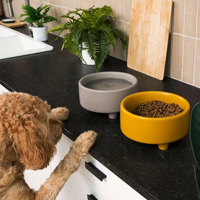 Waggo Uplift Ceramic Dog Bowl for Small Medium and Large Breeds - Heavyweight and Durable Pet Food and Water Dish Crock, Dishwasher Safe, Modern, Elevated Feeder (Speckle, Medium)