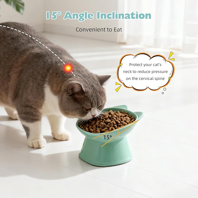KSIA Klear Elevated Cat Bowls 2 Pack, Tilted Raised Cat Bowl for Food and Water, 4.72" Wide, Whisker Friendly Anti Vomit for Indoor Cats, Microwave and Dishwasher Safe, Green