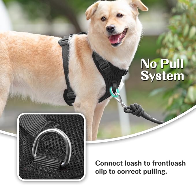No Pull Dog Harness for Small Medium Large Dogs - Adjustable 2 Layer Mesh Dog Vest with Dual Clip, Escape Proof, Quick Release, Lightweight Breathable Mesh for Walking Hiking (Black,S)