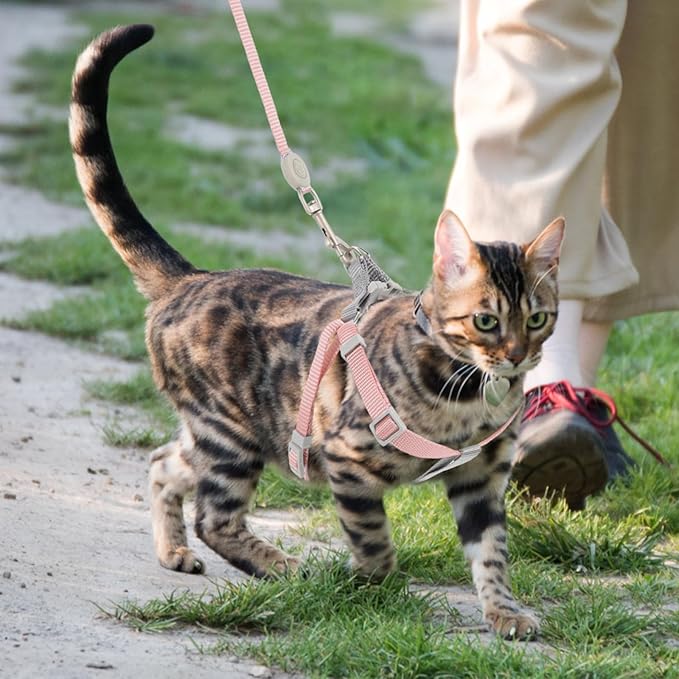 Kisangel Cat Harness and Leash Set Escape Proof Soft Adjustable Nylon Small Pink Kitten Walking Outdoor Pet Harness