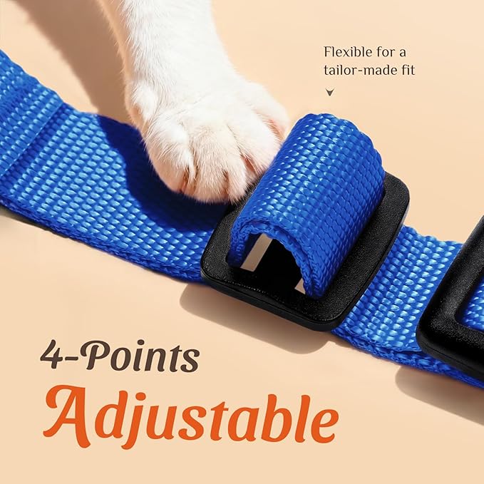 Dooradar Cat Harness and Leash Set, Escape Proof Safe Adjustable Kitten Vest Harnesses for Walking, Easy Control Soft Breathable Mesh Jacket with Reflective Strips for Cats, Blue, S