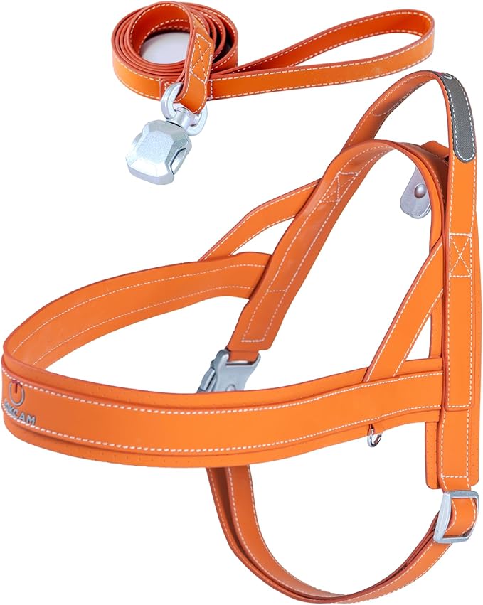 Magnetic Quick-Release Buckle Dog Harness and Leash Set, Easy Walk Faux Leather Puppy Harness, Easy On & Off Dog Vest with Handle for Medium, Large Girl Boy Dogs for Hiking Training, Orange, L