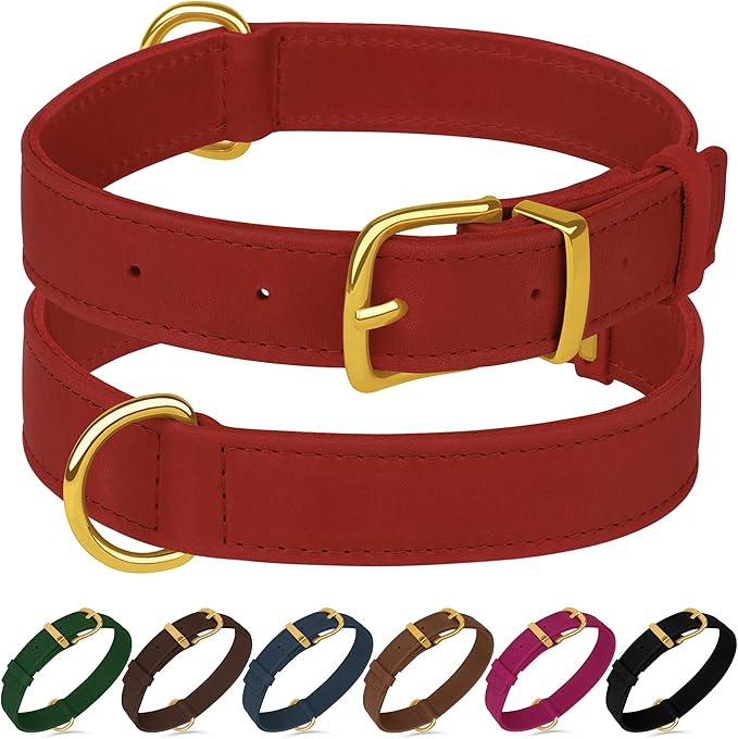 Leather Dog Collar - Heavy Duty Adjustable Soft Padded Pet Collars for Small Medium Large Dogs Breed - Black Green Brown Pink Red Blue (Red, M, 12"-15" Neck Fit)