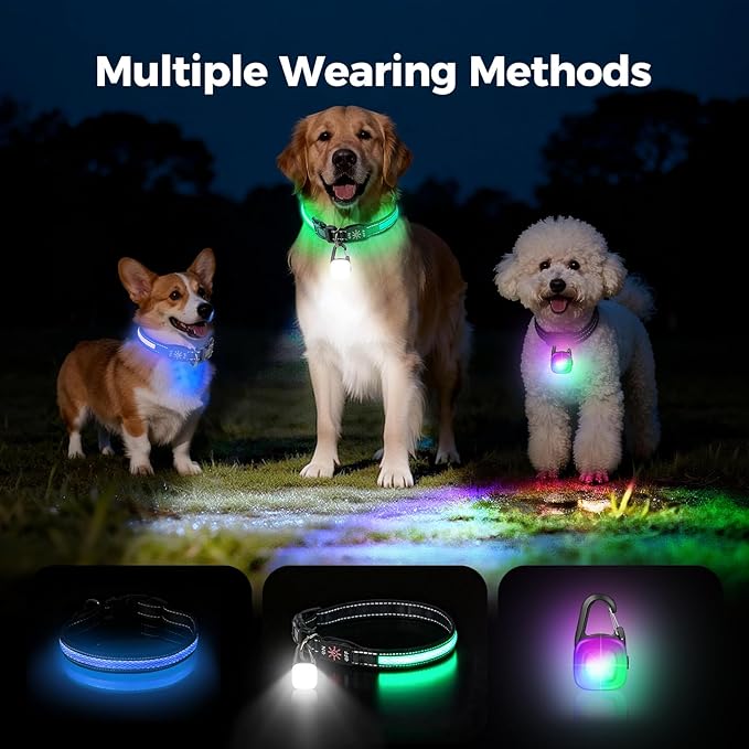 Light Up Dog Collar with Dogs Light Set,2 Pack Adjustable Rechargeable LED Dog Collar Light for Night Walking for Small Medium Large Pet