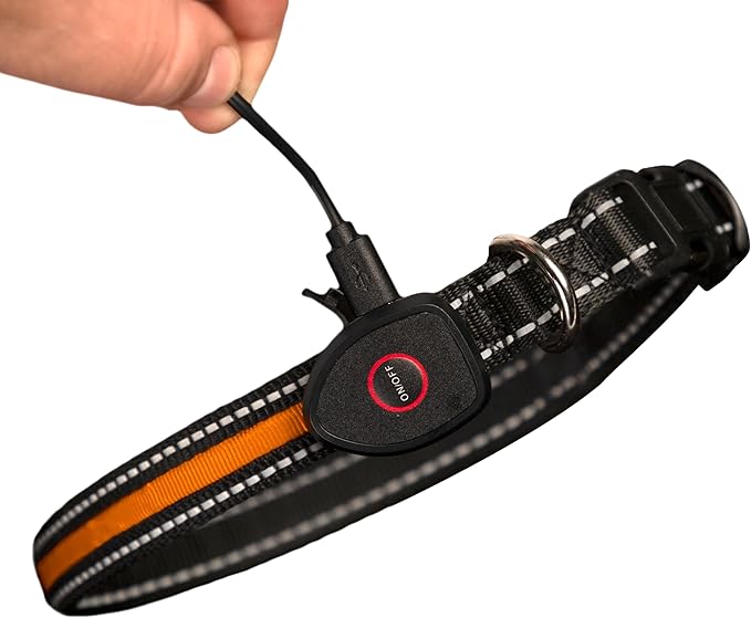 Sherry Kline LED Light-Up Pet Collar - USB Rechargeable - Flashing Glow in The Dark Size Small, Color: Orange