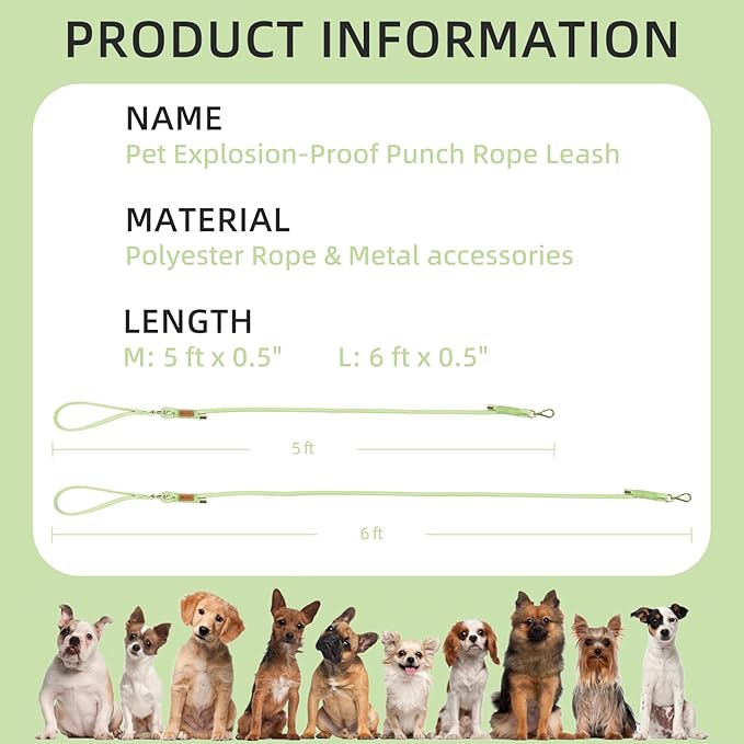 Wisedog Dog Leash for Small Dogs, 5FT Lightweight Rope Leash with PVC Soft Padded Handle, Rustproof 360°Swivel Buckle Heavy Duty for Medium & Large Dogs (Sage Green)