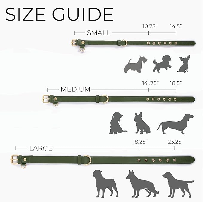 Two Tails Pet Company Cactus Vegan Leather Dog Collar, Adjustable Pet Collar with Gold Hardware and D Rings for Leash and ID Tag for Dogs and Puppies, Easy to Clean & Eco Friendly, Green, Size Medium