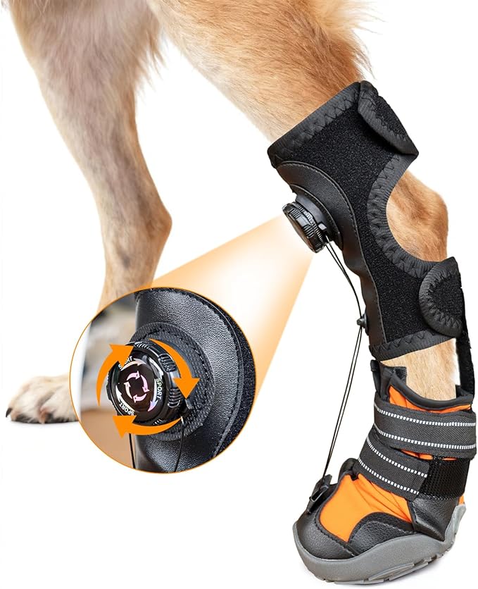 YAQUHO No Knuckling Brace for Dogs - Drop Foot Support with Adjustable Reel, Corrective Outdoor Pet Shoes - Helps Lift Toes for Nerve Conditions, Arthritis & Mobility Issues (S)