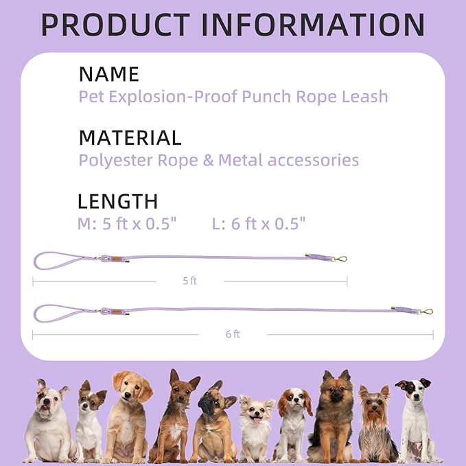 Wisedog Dog Leash for Small Dogs, 5FT Lightweight Rope Leash with PVC Soft Padded Handle, Rustproof 360°Swivel Buckle Heavy Duty for Medium & Large Dogs (Lilac)