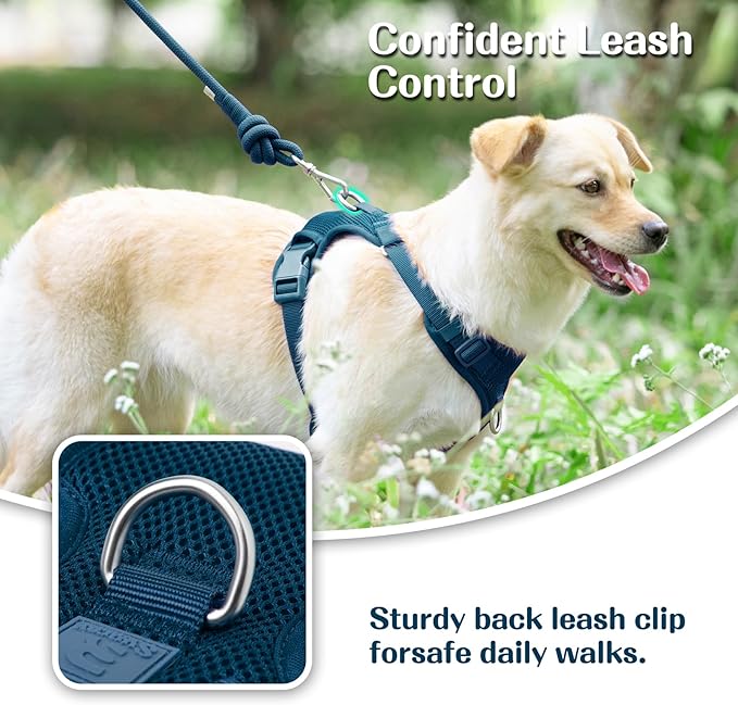 No Pull Dog Harness for Small Medium Large Dogs - Adjustable 2 Layer Mesh Dog Vest with Dual Clip, Escape Proof, Quick Release, Lightweight Breathable Mesh for Walking Hiking (Prussian Blue,XS)