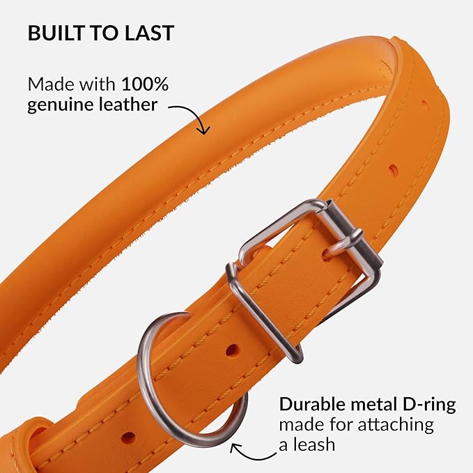 CollarDirect Rolled Leather Dog Collar, Soft Padded Round Puppy Collar, Handmade Genuine Leather Collar Dog Small Large Cat Collars 13 Colors (6 Inch, Orange Smooth)