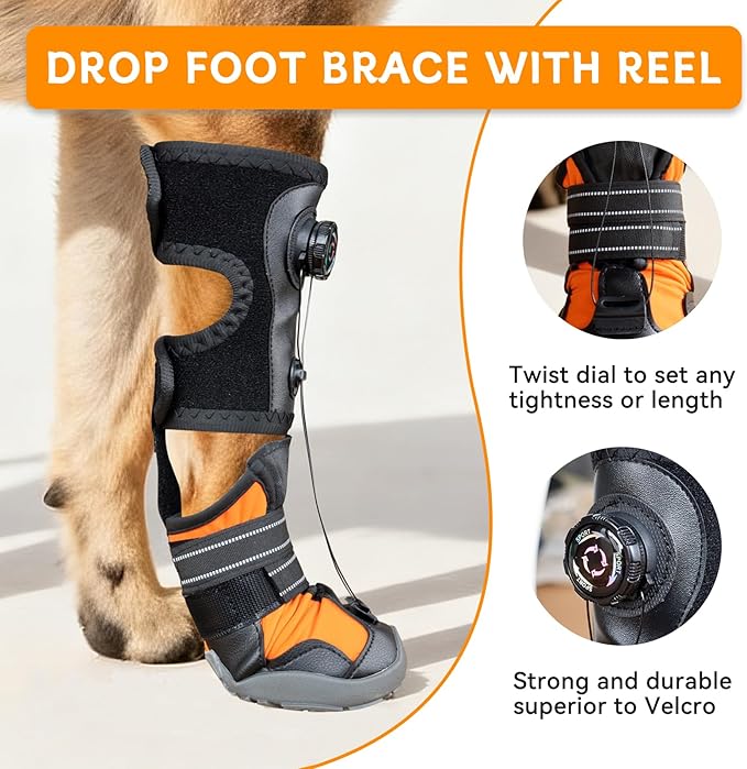 YAQUHO No Knuckling Brace for Dogs - Drop Foot Support with Adjustable Reel, Corrective Outdoor Pet Shoes - Helps Lift Toes for Nerve Conditions, Arthritis & Mobility Issues (L)