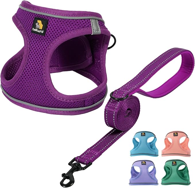 BELLA & PAL Step in Vest Harness for Small and Medium Dogs, No Pull Small Dog Harness with Leash Set, Comfortable Air Mesh Dog Vest Harness with Reflective Strip (Grape Purple, XXS)