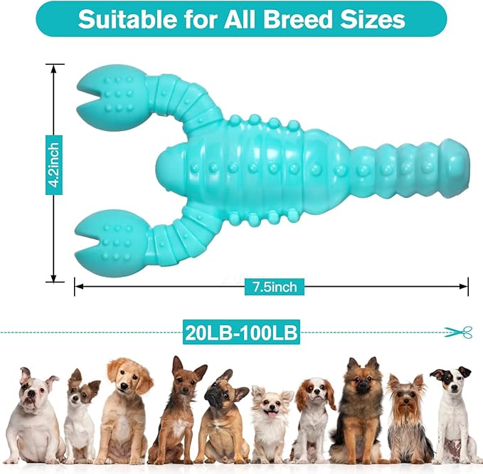 Dog Toys for Aggressive Chewers 2 Pack, Indestructible Tough Dog Chew Toys for Medium Large Breeds, Bacon Flavor to Keep Them Busy