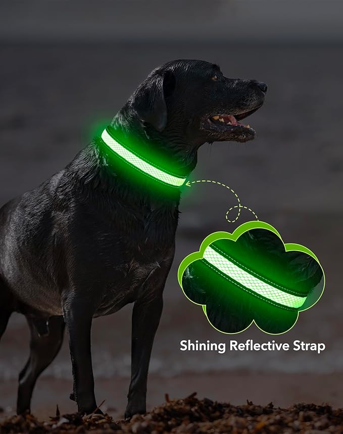 Weesiber Light Up Dog Collar - Glow in The Dark LED Dog Collar Rechargeable Reflective Pet Collar, Safety Doggy Lights for Night Walking(Green, L)