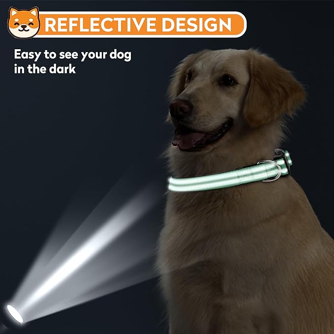 Reflective Dog Collar, Adjustable Soft Neoprene Padded Nylon Pet Collars with Buckle for Small Dogs, Dark Green,S