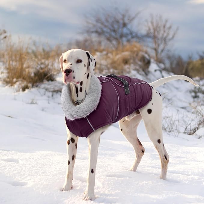 Lelepet Warm Dog Coat Waterproof Dog Jacket for Extra Large Dogs Reflective Fleece Vest with Adjustable Buckle Hook & Loop Windproof Cold Weather Coats for Small Medium Large Dogs, Dark Purple, XXXL