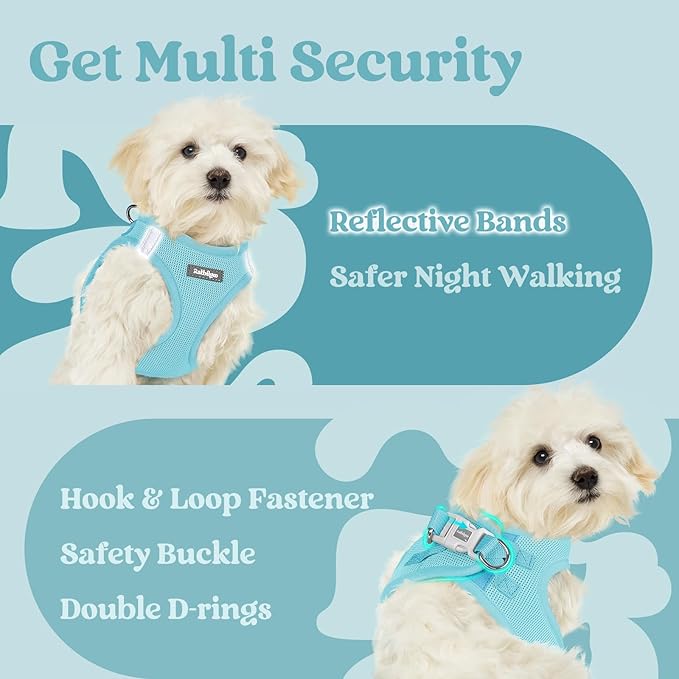 rabbitgoo Small Dog Harness, Step-in Soft Mesh Puppy Vest with Safety Buckle, Breathable Reflective Pet Harness for Extra Small Dogs, Mint Blue XXS