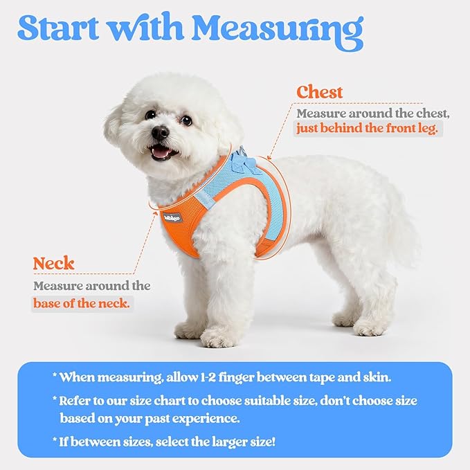 rabbitgoo Dog Harness Small Medium Sized and Leash Set, Step in Soft Light Puppy Vest, Breathable Mesh Pet Harness, Reflective for Safe Easy Walking, Blue & Orange XL