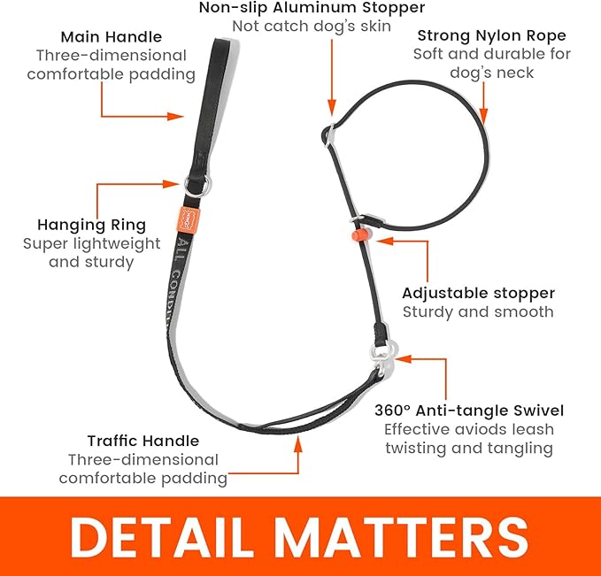 HowGo Slip Lead Dog Leash with Double Handles | Reflective Dog Training Leash with 360° Swivel Anti-Tangle | Heavy-Duty Lead and Collar for Large Medium and Small, No-Pull Walking (Lavender, 5.5FT)