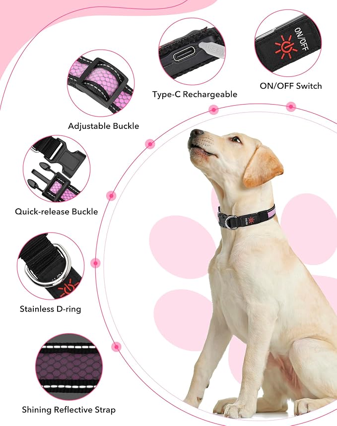 Weesiber Light Up Dog Collar - LED Dog Collar Rechargeable Glow in The Dark Pet Collar, Reflective Safety Dog Lights for Night Walking(Pink, L)