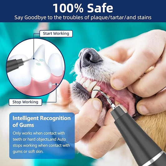 Plaque Remover for Teeth, Pet Ultrasonic Cleaner, Dog Plaque and Tartar Remover with LED Light, Dog Teeth Cleaning Dental Care Kit for Tartar and Stains, Suitable for Dogs and Cats (Black)