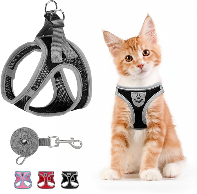 SCENEREAL Cat Harness and Leash Set for Walking Escape Proof, Adjustable Harness for Kitten Puppy Small Medium Large Cats, Reflective Soft Mesh Small Cat Harness, Comfort Fit, Easy Control