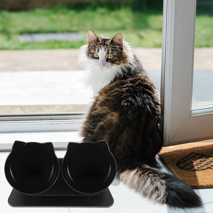 BESPORTBLE Double Raised Dog Feeder Bowl with 15° Neck Guard, Black Plastic Dual Pet Feeding Bowls for Cats and Dogs, Elevated Water and Food Dish for Home Use