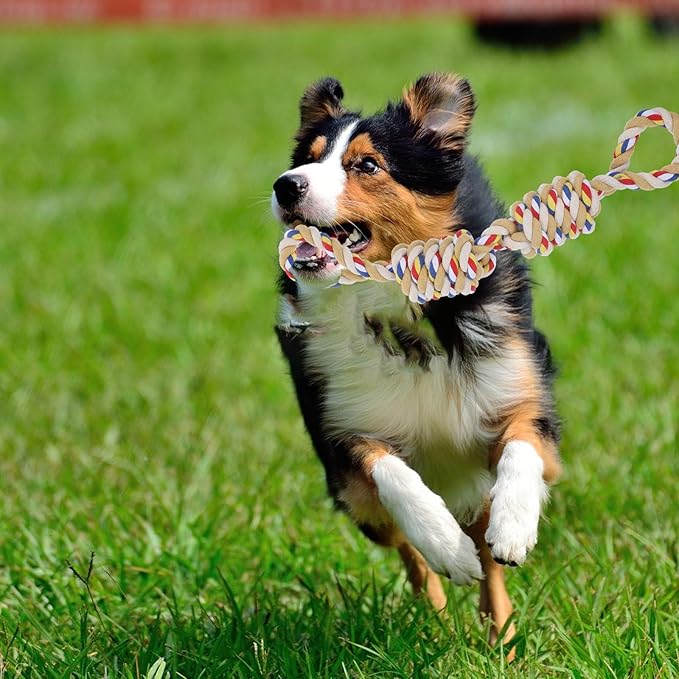 BESPORTBLE Dog Tug Rope for Dogs Interactive Chew Sturdy Knotted Rope Ball for Aggressive Chewers and Puppies