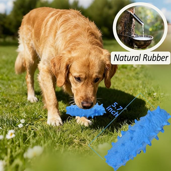 2 Pack Chew Toys for Puppies & Dogs, Dog Chew Toys to Keep Them Busy, Durable Puppy Teething Chew Toys, Tough Puppy Toothbrush Clean Teeth Interactive Toys for Small Medium Breed (Blue)