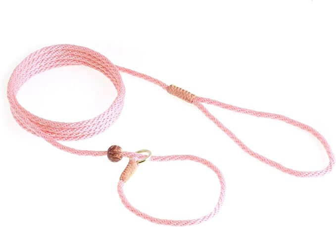 Alvalley Nylon Dog Training Leash with Stopper - Adjustable Nylon Rope Comes with Braided Leather at Ends - Tagua Bead Stopper Slip Lead - Suitable for Walking, and Training
