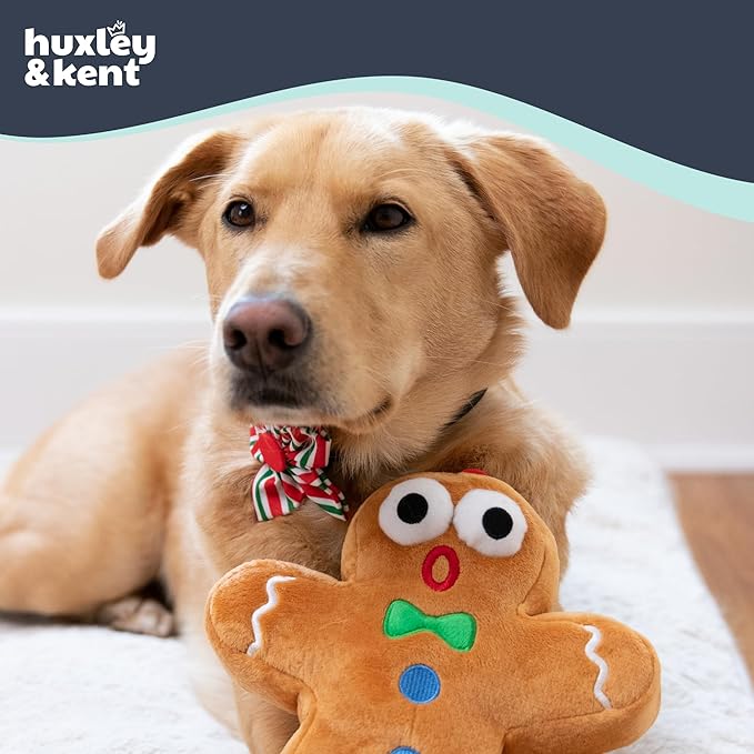Huxley & Kent Funny Dog Toy w/Squeaker – Holiday Power Plush Squeaky Dog Toys for Small, Medium & Large Dogs – Soft Stuffed Animal for Indoor Play & Fetch - Ginger Snapped, Large