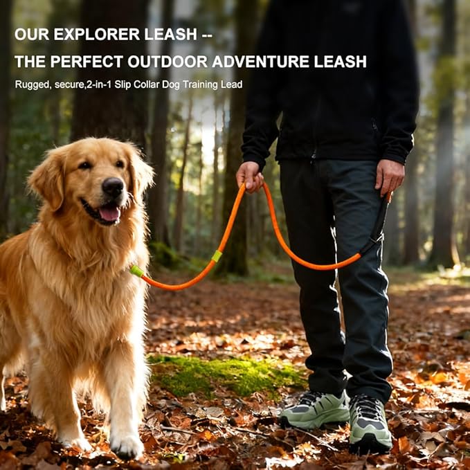 BeauGo|Slip Leads for Dogs|Slip Lead Dog Leash|Dog Training Leash,2-in-1 Dog Training Lead & Collar,No Pull Training Lead,Comfortable Strong Rope Slip Lead for Small Dogs and Puppies.Slip Leash6FT