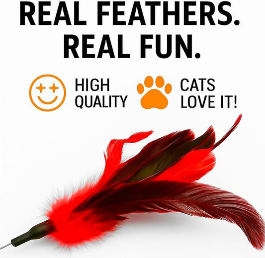 Paws Power Cat Wand Toy Feather Sticks - Interactive Wands Toy Set with Feathers, Durable Spring Design - Perfect for Engaging Playtime Fun for Kittens and Cats - Cat Toys for Indoor Cats (1 Pcs)