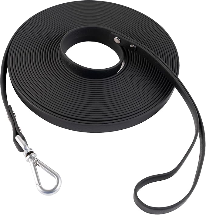 Dog Training Long Leash Waterproof Long Line Heavy Duty Outdoor Recall Lead 10ft 15ft 20ft 30ft 50ft for Small Medium Large Dog (Black, 15FT)