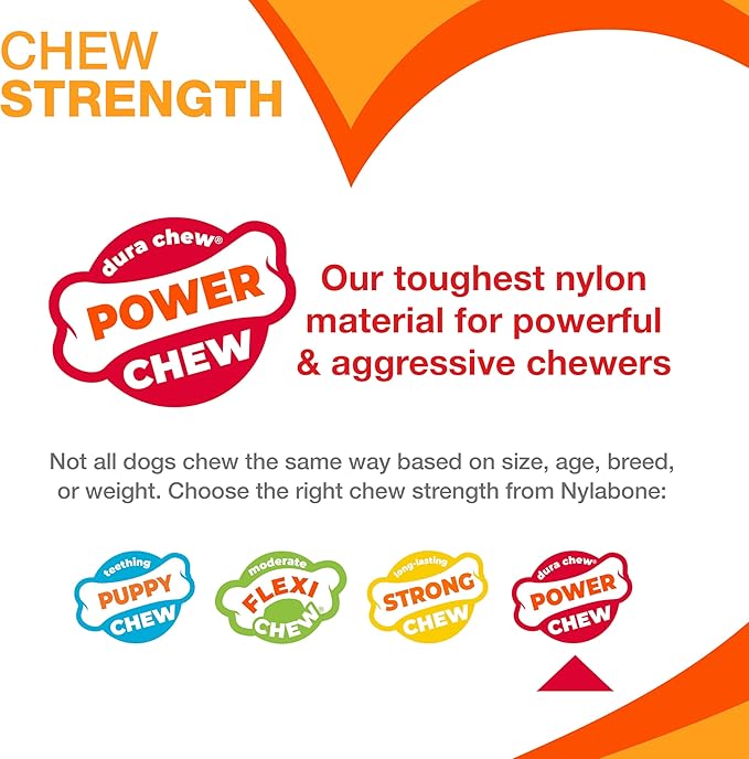 Nylabone Textured Bone Power Chew Toy for Dogs, Durable & Tough Dog Toys for Aggressive Chewers, Basted Blast Bacon and Steak Flavor, Large Dogs - Up to 50 lbs, 1 Count