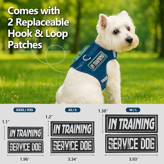 Dog Harness for Puppy – Adjustable Reflective Easy Put On Soft Mesh Vest for Small Dogs with 2 Patches (Prussian Blue,XXS)