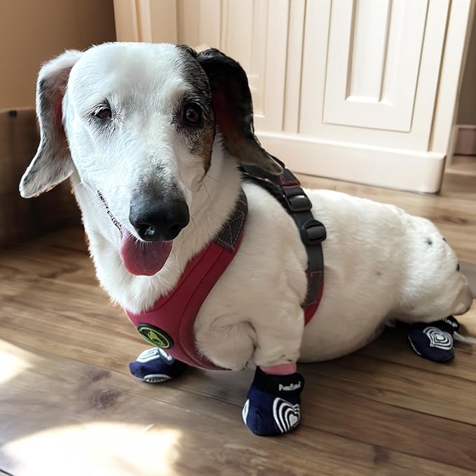 Medical Therapeutic Double Sided Non-Slip Cotton Dog Socks | PawFlex Comfy Pawz Silicone Grip on Inner Cuff No Twisting or Sliding Off | Senior & Disabled Dog Traction Control |Pet Paw Protection