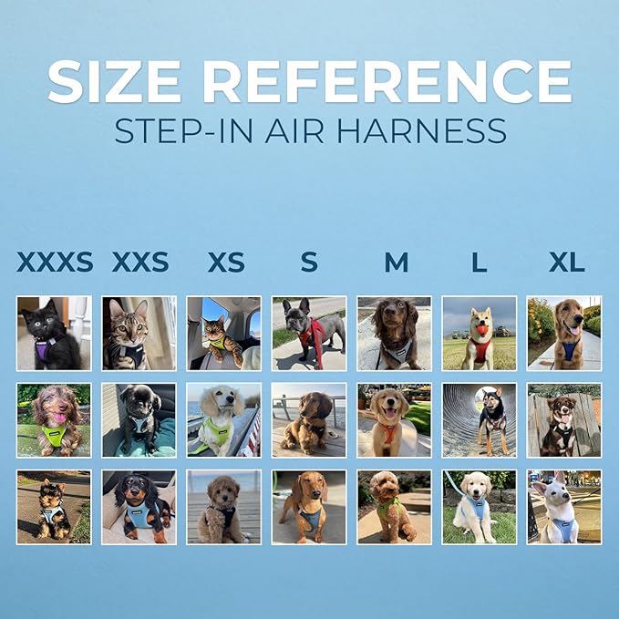 Best Pet Supplies Voyager Step-in Air Harness - All Weather Mesh, Reflective, No Pull Harness for Dogs, Cats - Secure with Hook & Loop Fastener, Buckle, Double D-Rings - Baby Blue, XL