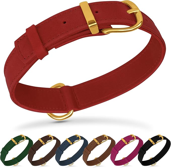 Leather Dog Collar - Heavy Duty Adjustable Soft Padded Pet Collars for Small Medium Large Dogs Breed - Black Green Brown Pink Red Blue (Red, M, 12"-15" Neck Fit)