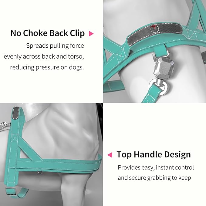 Magnetic Quick-Release Buckle Dog Harness and Leash Set, Easy Walk Faux Leather Puppy Harness, Easy On & Off Dog Vest with Handle for Medium, Large Girl Boy Dogs for Hiking Training, Teal, L