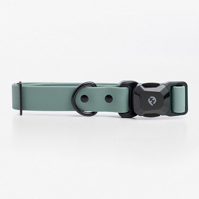 2025 New Edition, Fei & Eve PVC MagEase Dog Collar - Patented Magnetic Buckles | Fur-Safe | 450LB Escape-Proof | Adjustable Fit | Medium (Glacier Green)