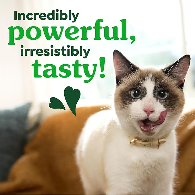 Greenies Feline Veterinarian-Recommended Adult Natural Dental Cat Treats, Catnip Flavor, 21 oz. Tub