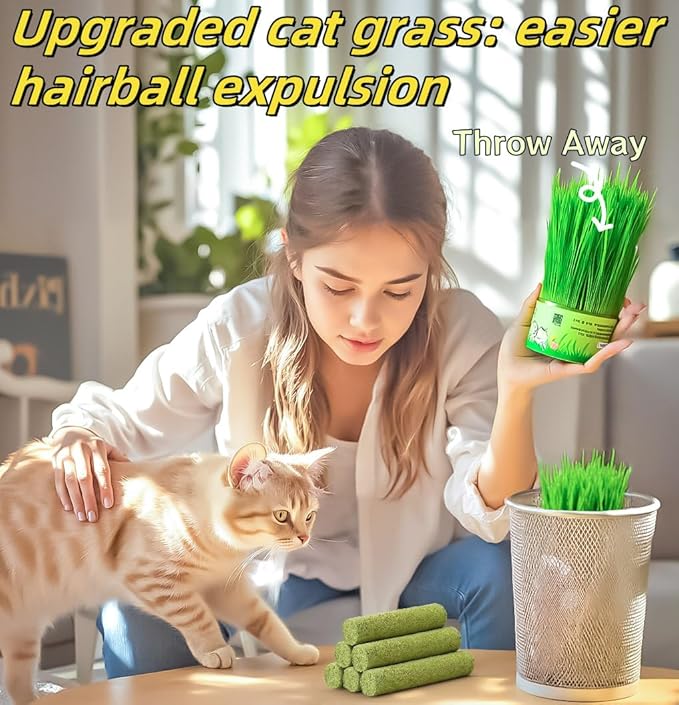 GREMBEB 6Pack Cat Toys Cats Grass Treat Catnip Toy with Silvervine for Indoor Kitten Toys Wood Kitty Chew Rope Grass Sticks for Teeth Cleaning Kitten Snack for Catnip Dental Care Self Play