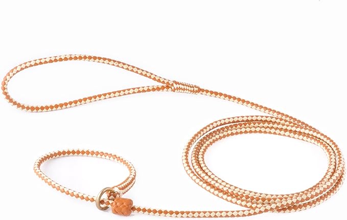 Alvalley Braided Leather Dog Leashes with Stopper - Pet Slip Leads for Dogs - Soft Gentle Leash - Adjustable for Small, Medium, Large & Extra Large Dogs (Tan and White, 4ft Long, 5/16in Thick)